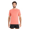 Icebreaker Functional T-shirt Sphere II SS - Merino Wool, Cool-Lite - moisture-regulating - vibrant earth red Men